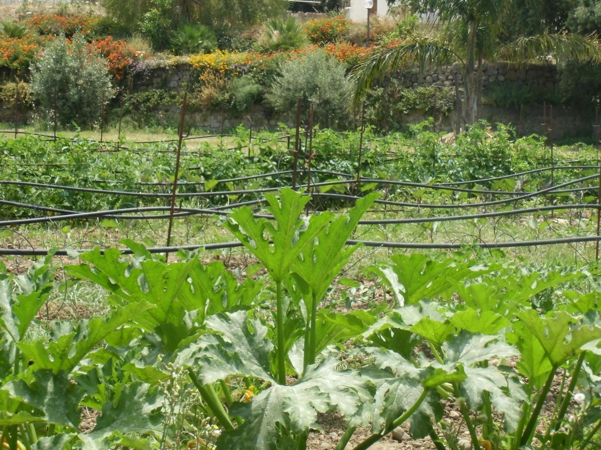 Vila Stella Di Sicilia San Fratello Exteriér fotografie